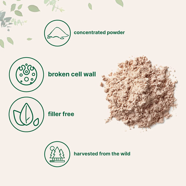 Pure Pine Pollen Powder 6 Ounce Wild Harvest an Broken Cell Wall Supports Immune System Health Boosts Energy Antioxidant  Androgenic No GMOs Vegan Friendly