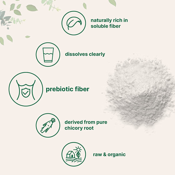 Organic Daily Prebiotic Dietary Fiber Supplement Powder Inulin Fiber from Chicory Root 10 Ounce Highly Promote Intestinal Colon Gut Health and Digestive Function Vegan Friendly