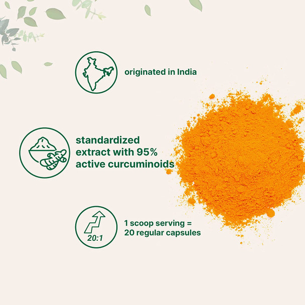 Curcumin Extract Natural Turmeric Extract with 95 Curcuminoids Rich in Antioxidants  Immune Vitamin Best Supplements for Joint Health Support 50 Gram India Origin  Vegan Friendly