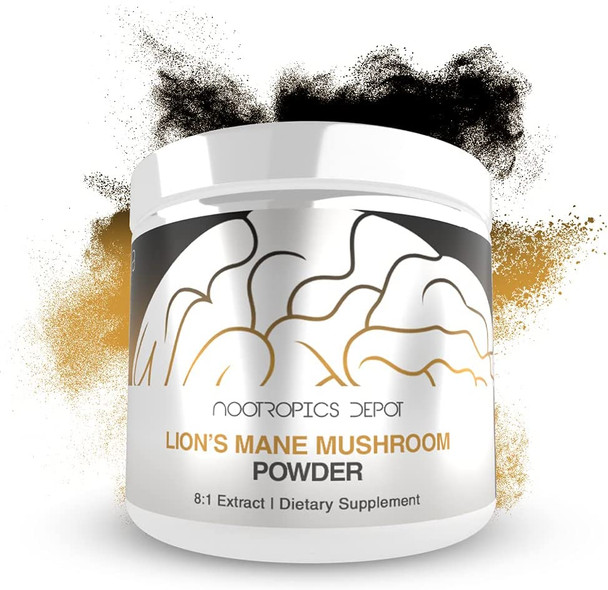 Lions Mane Mushroom Powder  81 Whole Fruiting Body Dual Extract  60 Grams  Hericium erinaceus  Brain Health Supplement  Neuroprotective  Boosts Mood  Supports Immune Health