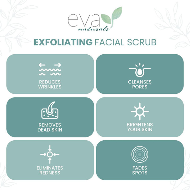 Eva Naturals Microdermabrasion Face Exfoliator and Facial Scrub  Exfoliating Facial Cleanser With Aloe Willow Bark Salicylic Acid Exfoliating Face Wash Face Cleanser Exfoliating Face Scrub 2 oz