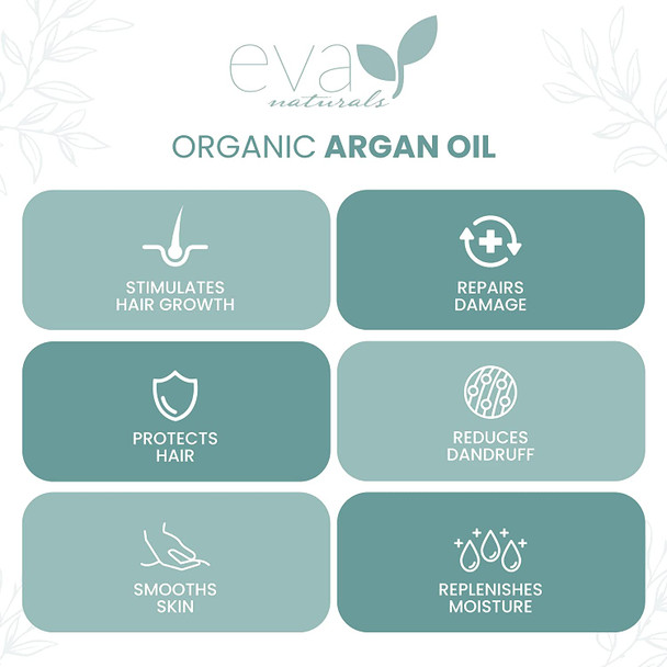 Eva Naturals Morrocan Argan Oil for Hair and Skin  100 Pure Argan Oil for Skin Nails Face  Hair  All Natural Hair Oil for Dry Damaged Hair and Growth  Argan Oil for Face 2 oz