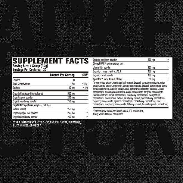 Red Surge Superfood Powder  Nitric Oxide Supplement Beet Powder for Immune Support Antioxidant and Energy  30 Servings Strawberry Lemonade