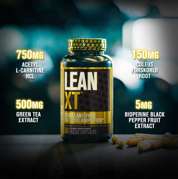 LeanXT Non Stimulant Fat Burner  Weight Loss Supplement Appetite Suppressant  Metabolism Booster with Acetyl LCarnitine Green Tea Extract  Forskolin  60 Natural Diet Pills