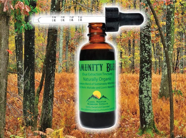 Immunity Blend Extract Organic Mushrooms to Support Immune Health and Promote Energy Daily Immune Support with Turkey Tail Reishi Maitake  Lions Mane  Naturally Vegan 2 OZ 60 Servings