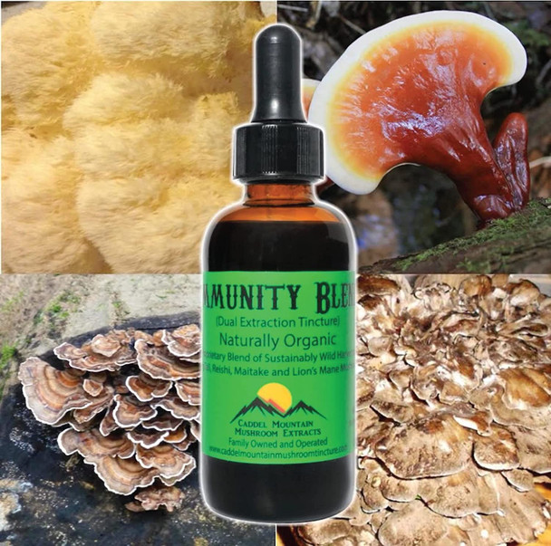 Immunity Blend Extract Organic Mushrooms to Support Immune Health and Promote Energy Daily Immune Support with Turkey Tail Reishi Maitake  Lions Mane  Naturally Vegan 2 OZ 60 Servings
