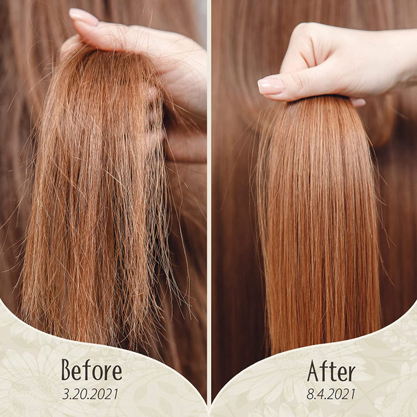 Aurous Luminous Inch x Inch Herbal  Rice Infusion Hair Rejuvenation Serum Supports Mens Hair Growth and Womens Hair Growth Thinning Hair  Hair Loss