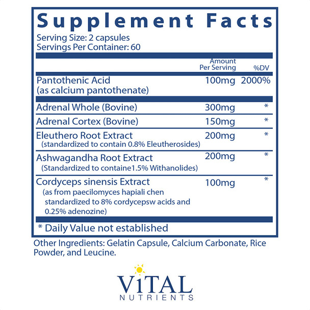 Vital Nutrients Adrenal Support Suitable for Men and Women Supports Adrenal Gland Function Supports Mild Stress and Anxiety and Supports a Healthy Immune System 120 Capsules