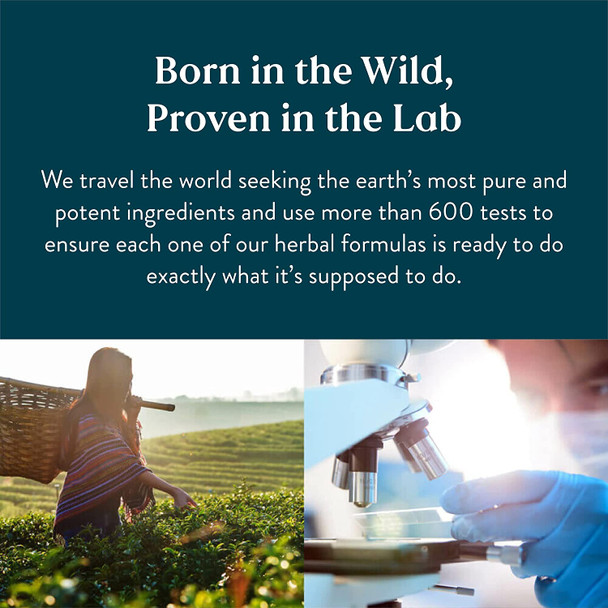 Natures Sunshine Kidney Activator TCM Concentrate 30 Capsules