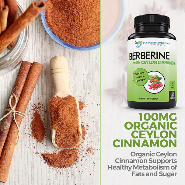 Berberine with Ceylon Cinnamon  1200mg Berberine  100mg Organic Ceylon Cinnamon  120 Veggie Capsules Healthy Immune System Cardiovascular Heart  Gastrointestinal Wellness 2 Pack