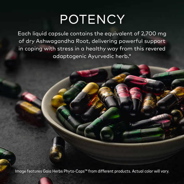 Gaia Herbs Ashwagandha Root Vegan Liquid Capsules 60 Count