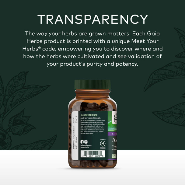 Gaia Herbs Ashwagandha Root Vegan Liquid Capsules 60 Count