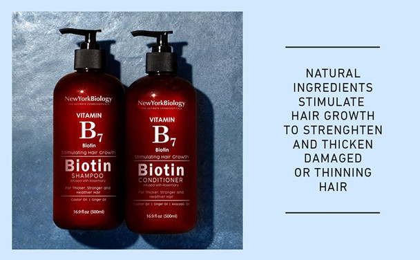 Biotin Shampoo for Hair Growth and Thinning Hair  Thickening Formula for Hair Loss Treatment  For Men  Women  Anti Dandruff  16.9 fl Oz