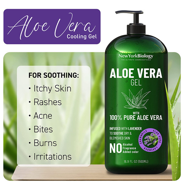 New York Biology Aloe Vera Gel for Face Skin and Hair  Infused with Lavender Oil  From Fresh Aloe Vera Plant  Moisturizing Aloe Vera for Sunburn Relief and Dry Skin  16 oz