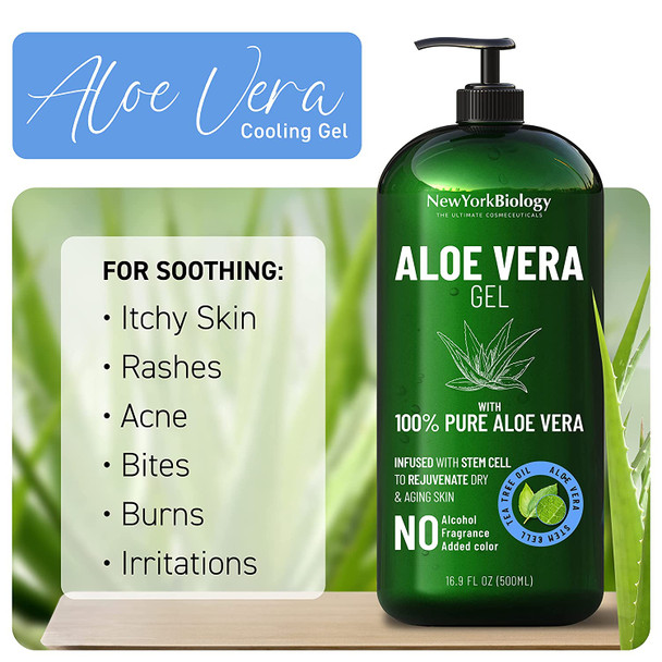 New York Biology Aloe Vera Gel for Face Skin and Hair  Infused with Stem Cell  From Fresh Aloe Vera Plant  Moisturizing Aloe Vera for Sunburn Relief and Dry Skin  16 oz