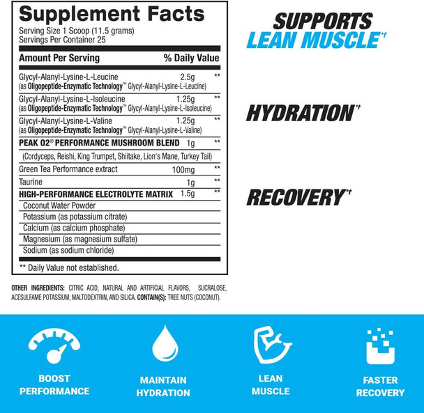BPI Sports Best Bcaa Recharged  Endurance, Muscle, Recovery  Leucine, Isoleucine, Valine  Green Tea  Taurine  Coconut Water  Electrolytes  for Men & Women  Snow Cone  25 Servings  10.14 Oz