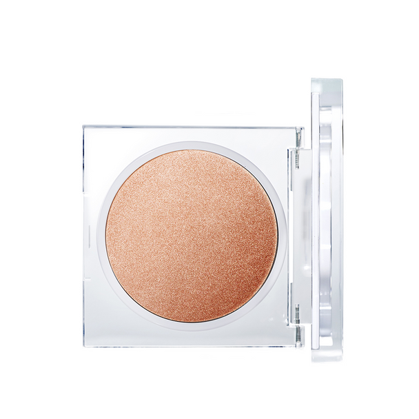 Luminizing Powder