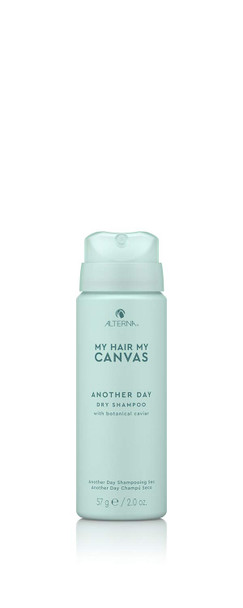 Alterna My Hair My Canvas Another Day Vegan Dry Shampoo  Lightweight Refreshes  Softens Hair for All Hair Types  Sulfate Free