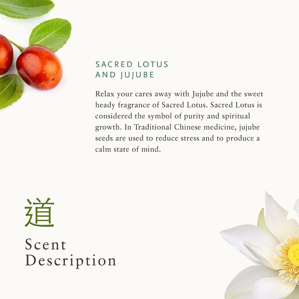 RITUALS Jing Body Cream - Nourishing Body Cream with Sacred Lotus & Jujube - 7.4 Fl Oz
