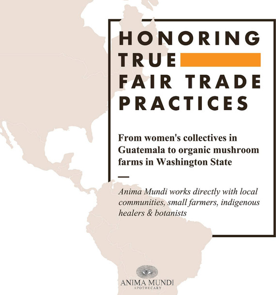 Anima Mundi Chanca Piedra Powder - Anima Mundi Supplements - Stone Breaker Chanca Piedra Powder for Tea - Wildcrafted Chanca Piedra Extract - Liver, Gallbladder & Kidney Cleansing Support (4oz / 114g)
