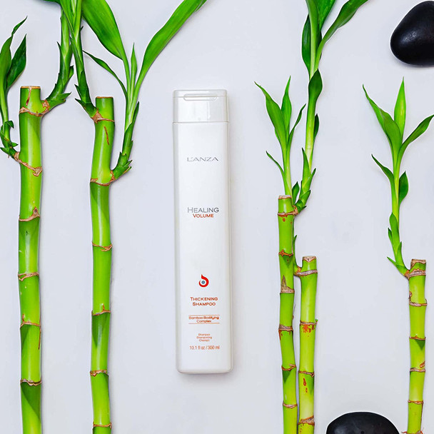 L'ANZA Healing Volume Thickening Shampoo, Boosts Shine, Volume, and Thickness to Fine and Flat Hair, Rich with Bamboo Bodifying Complex and Keratin (10.1 Fl Oz)