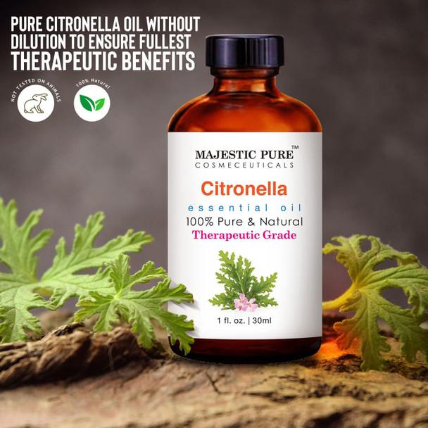 MAJESTIC PURE Citronella Essential Oil, Therapeutic Grade, Pure and Natural, for Aromatherapy, Massage, Topical & Household Uses, 1 fl oz