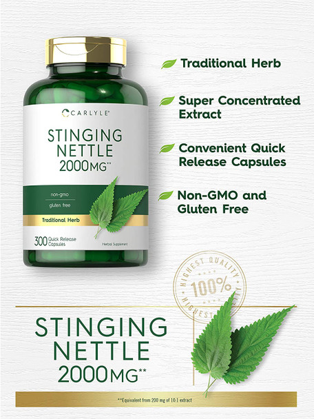 Stinging Nettle Leaf Extract 2000mg | 300 Capsules | Non-GMO & Gluten Free Supplement | by Carlyle