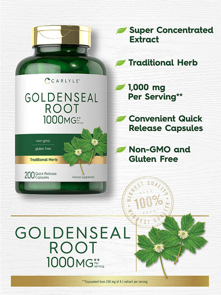 Carlyle Goldenseal Root Capsules 1000mg | 200 Count | Non-GMO, Gluten Free Supplement