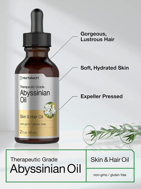 Abyssinian Oil 4 fl oz | Hair and Skin Oil | 2 Pack of 2oz | Paraben, SLS and Fragrance Free | from Crambe Abyssinica Seed | By Horbaach