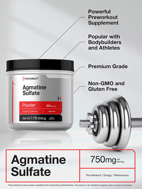 Agmatine Sulfate Powder | 500 Grams | 666 Servings | Unflavored | Pre Workout Supplement | Vegetarian, Non-GMO & Gluten Free | by Horbaach