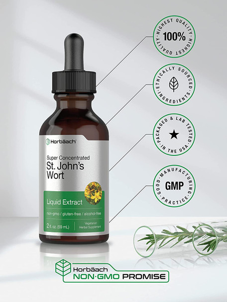 St Johns Wort Tincture | 2 Oz | Alcohol Free | Vegeterian, Non-GMO, Gluten Free Liquid Extract | by Horbaach