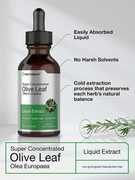 Olive Leaf Extract Liquid | 2 fl oz | Super Strength | Alcohol Free, Vegetarian, Non-GMO, Gluten Free | by Horbaach