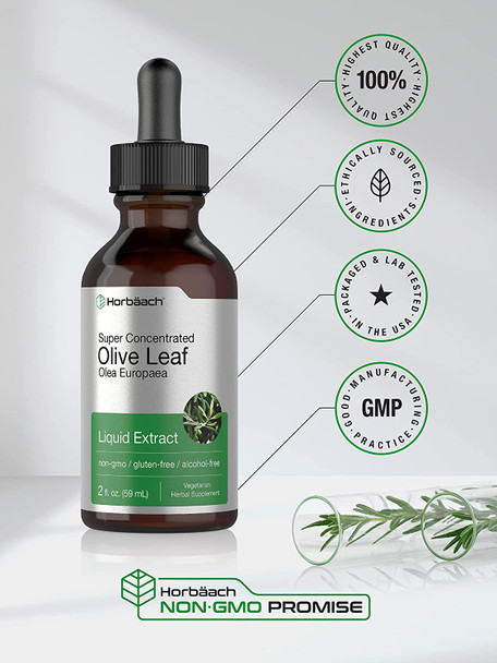 Olive Leaf Extract Liquid | 2 fl oz | Super Strength | Alcohol Free, Vegetarian, Non-GMO, Gluten Free | by Horbaach