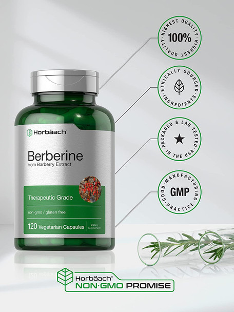 Berberine Supplement | 120 Capsules | Berberine HCl from Barberry Extract | Non-GMO, Gluten Free | by Horbaach