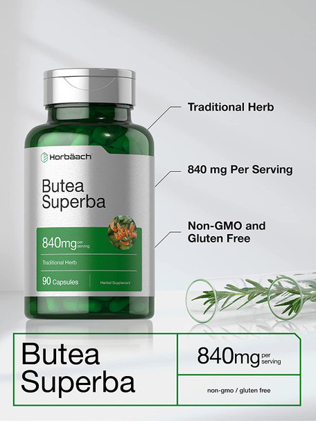 Butea Superba Root 840mg | 90 Capsules | Male Performance Supplement | Non GMO, Gluten Free Supplement | by Horbaach