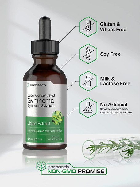 Gymnema Sylvestre Liquid | 2 fl oz | Alcohol Free | Super Concentrated Gymnema Leaf Extract Drops | Vegetarian, Non-GMO, Gluten Free Supplement | by Horbaach