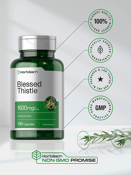 Blessed Thistle 1600 mg | 150 Capsules | Max Potency | Great for Breastfeeding | Non-GMO, Gluten Free Herb Supplement | by Horbaach