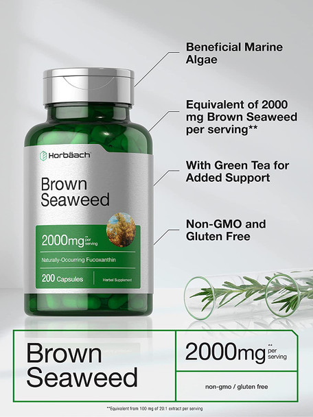 Brown Seaweed Extract Capsules 2000mg | 200 Pills | Fucoxanthin Supplement | Non-GMO, Gluten Free | by Horbaach