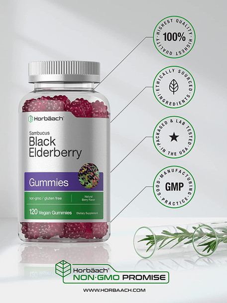 Sambucus Black Elderberry Gummies | 120 Count | with Zinc and Vitamin C | Vegan, Non-GMO, Gluten Free Extract for Adults | Natural Berry Flavor | by Horbaach