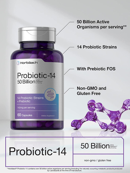 Probiotics with Prebiotics | 60 Capsules | 50 Billion Active Organisms | Non-GMO & Gluten Free Supplement | by Horbaach