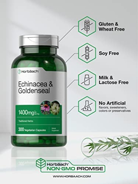Echinacea Goldenseal Capsules | 1400mg | 300 Count | Vegetarian, Non-GMO, Gluten Free Extract Supplement | by Horbaach