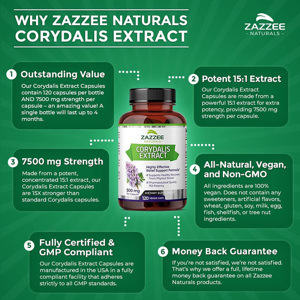Zazzee Corydalis Extract, 500 mg, 120 Vegan Capsules, Powerful 15:1 Extract, Extra Strength Premium Grade, Vegan, All-Natural and Non-GMO, Natural Support for Pain Relief