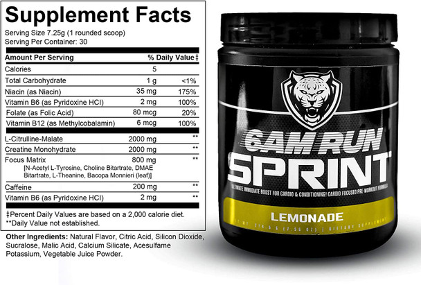 6AM RUN Sprint  Pre Workout Powder for Instant Energy Boost for Cardio and Focus  No Jitters High Energy Conditioning Formula  All Natural Keto Vegan Lemonade Full Bottle