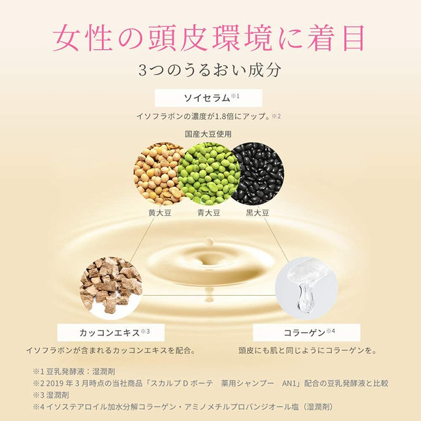 Anfer ANGFA Scalp D Beaute Volume Type oily skin 2 set Shampoo  Treatment Pack for Women Japan
