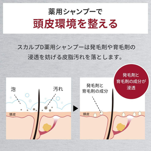 Angfa Scalp D Medicinal Shampoo for Men Oily skin set Shampoo  Conditioner 350ml 2019 Japan