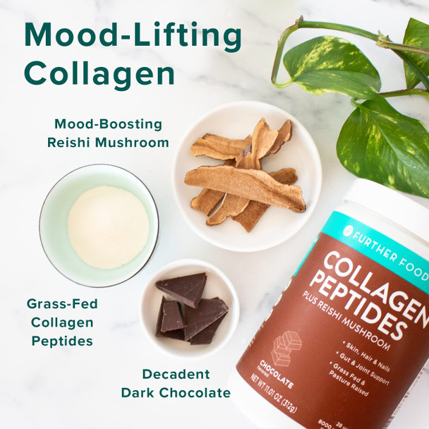 Further Food Chocolate Collagen Peptides Powder GrassFed PastureRaised Hydrolyzed Type 1  3 Protein Gut Health  Joint Hair Skin Nails Paleo Keto SugarFree 28 Servings