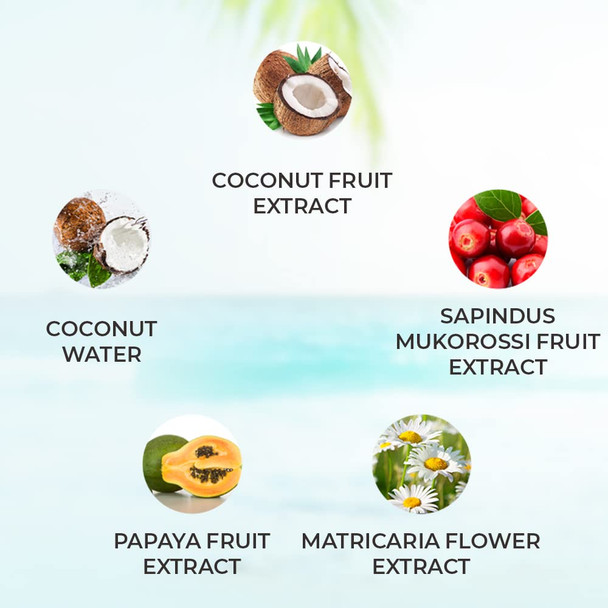 SCINIC Coconut Cleansing Water 16.9fl.oz 500ml  Ultra Simple Cleansing Water  No Need To Wash Off  Cleansing  Tidying Up Of Skin Texture  Moisture