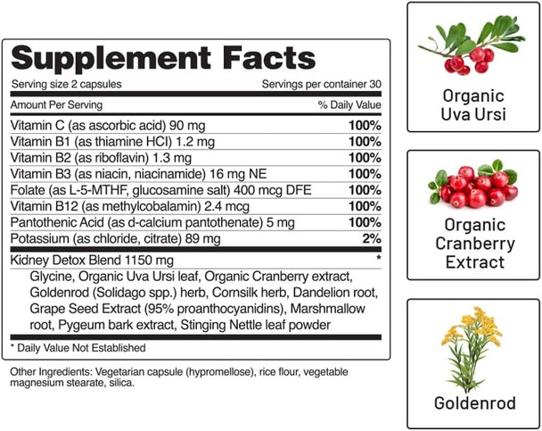 Kidney Health Support Supplement  Kidney Cleanse  Detox Kidney Support Formula  Uva Ursi Capsules  Cranberry Supplement Kidney Vitamins Detox Formula 15 Active Plants  Herbs 60 Capsules