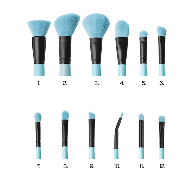 Coastal Scents 12 Set in Powder Blue Brush Affair Collection