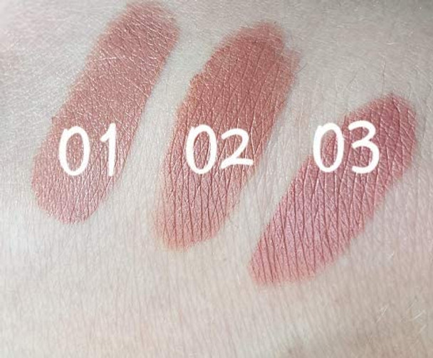 Golden Rose Nude Look Perfect Matte Lipstick No:01 Coral Nude